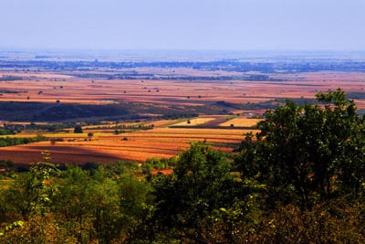 Vojvođanski pejzaž